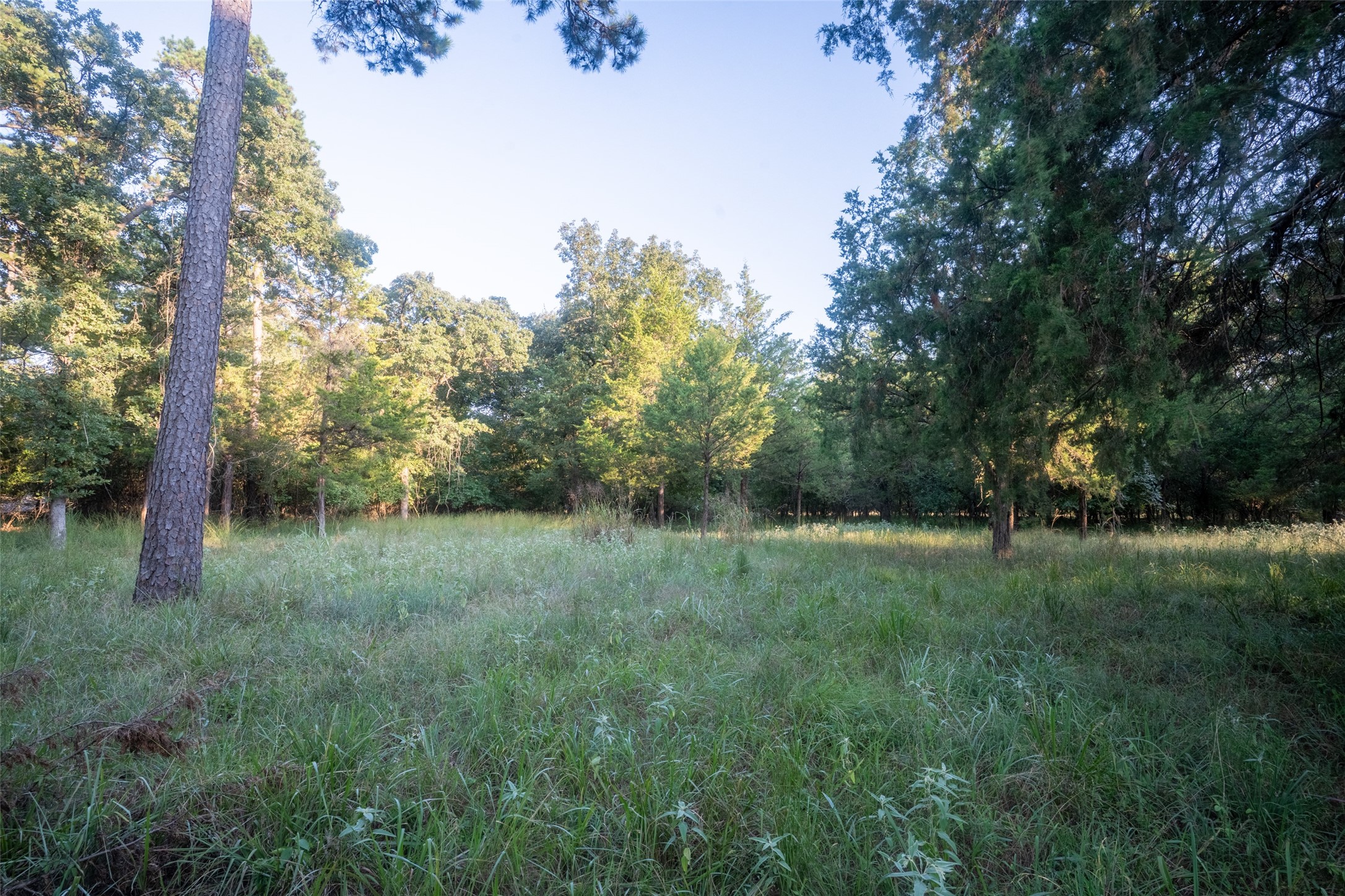Lots 2, 3, 47 & 48 Kings Country Boulevard Scroggins TX 75480