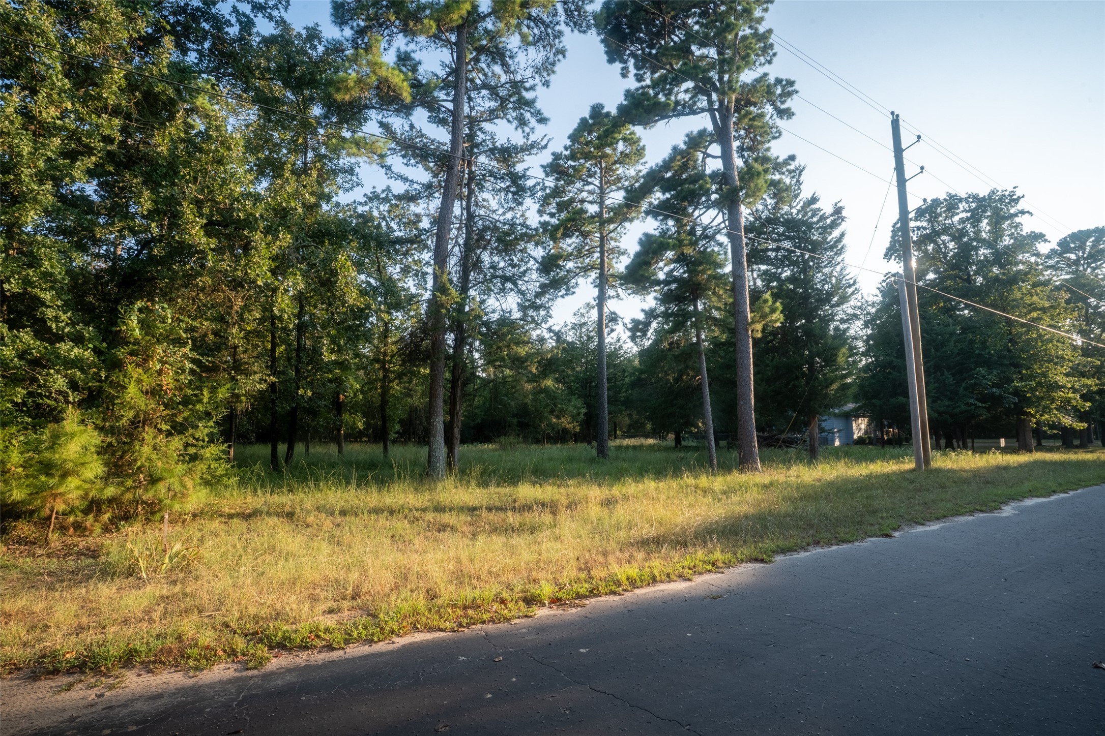 Lots 2, 3, 47 & 48 Kings Country Boulevard Scroggins TX 75480