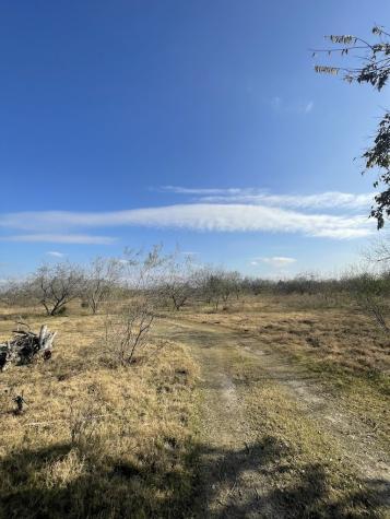 3175 County Road 1110 Corsicana TX 75110