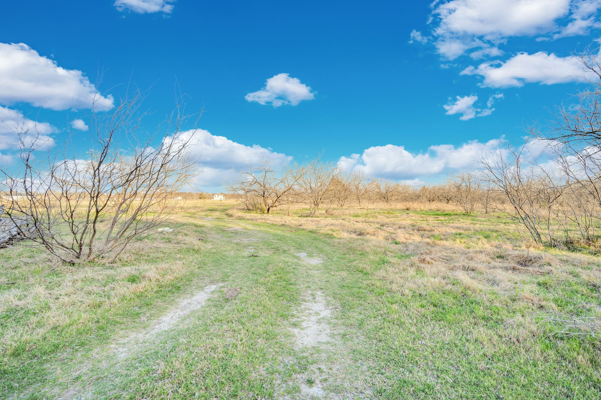 3175 County Road 1110 Corsicana TX 75110