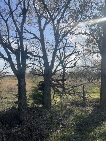 3175 County Road 1110 Corsicana TX 75110