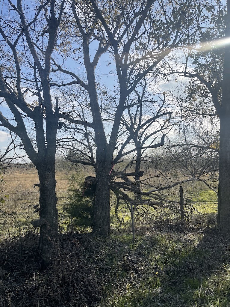 3175 County Road 1110 Corsicana TX 75110