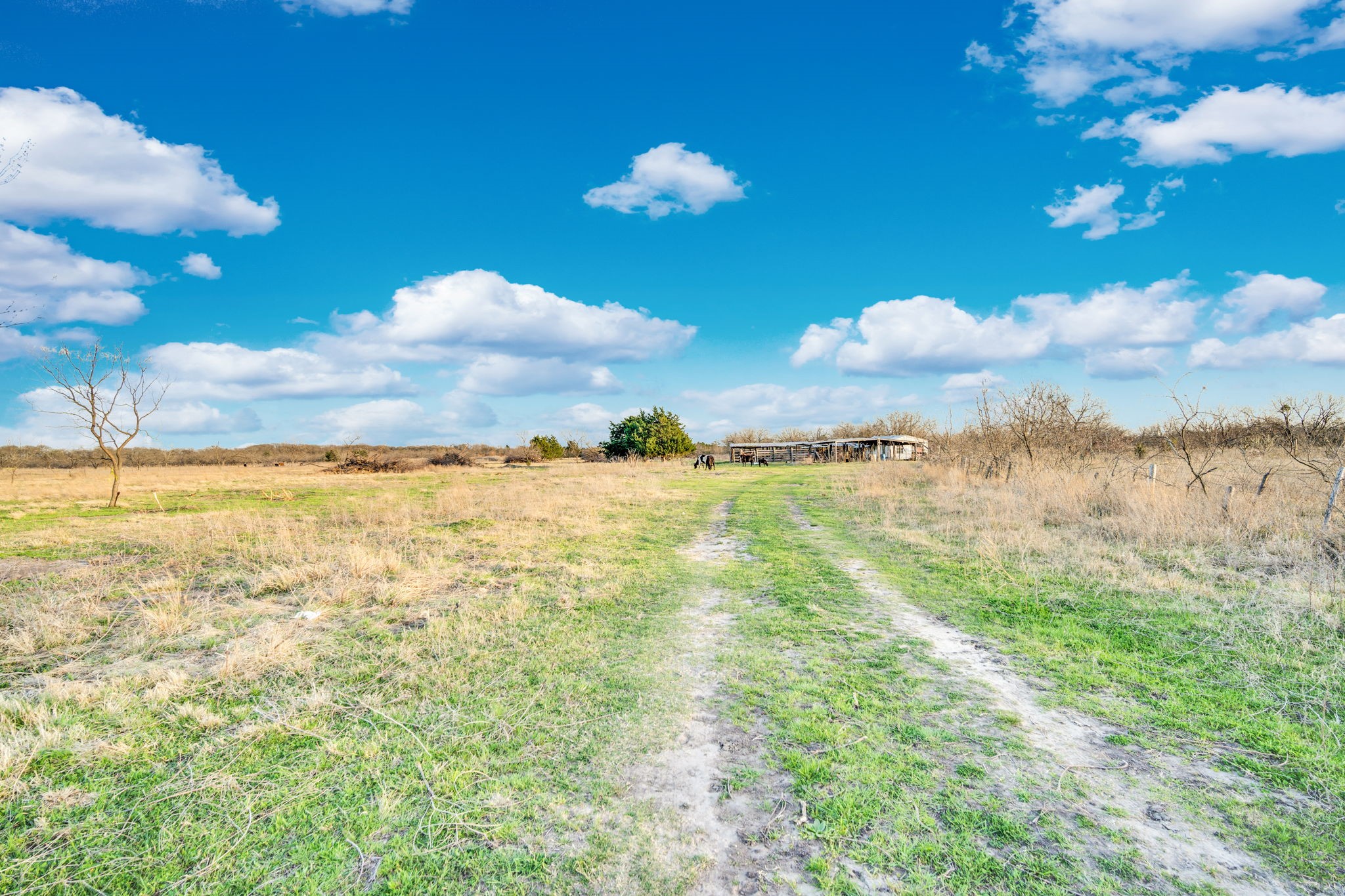 3175 County Road 1110 Corsicana TX 75110