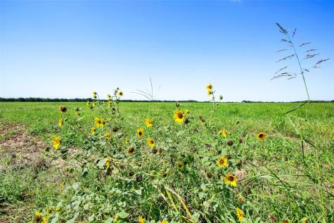 99AC Buck Creek Tioga TX 76271