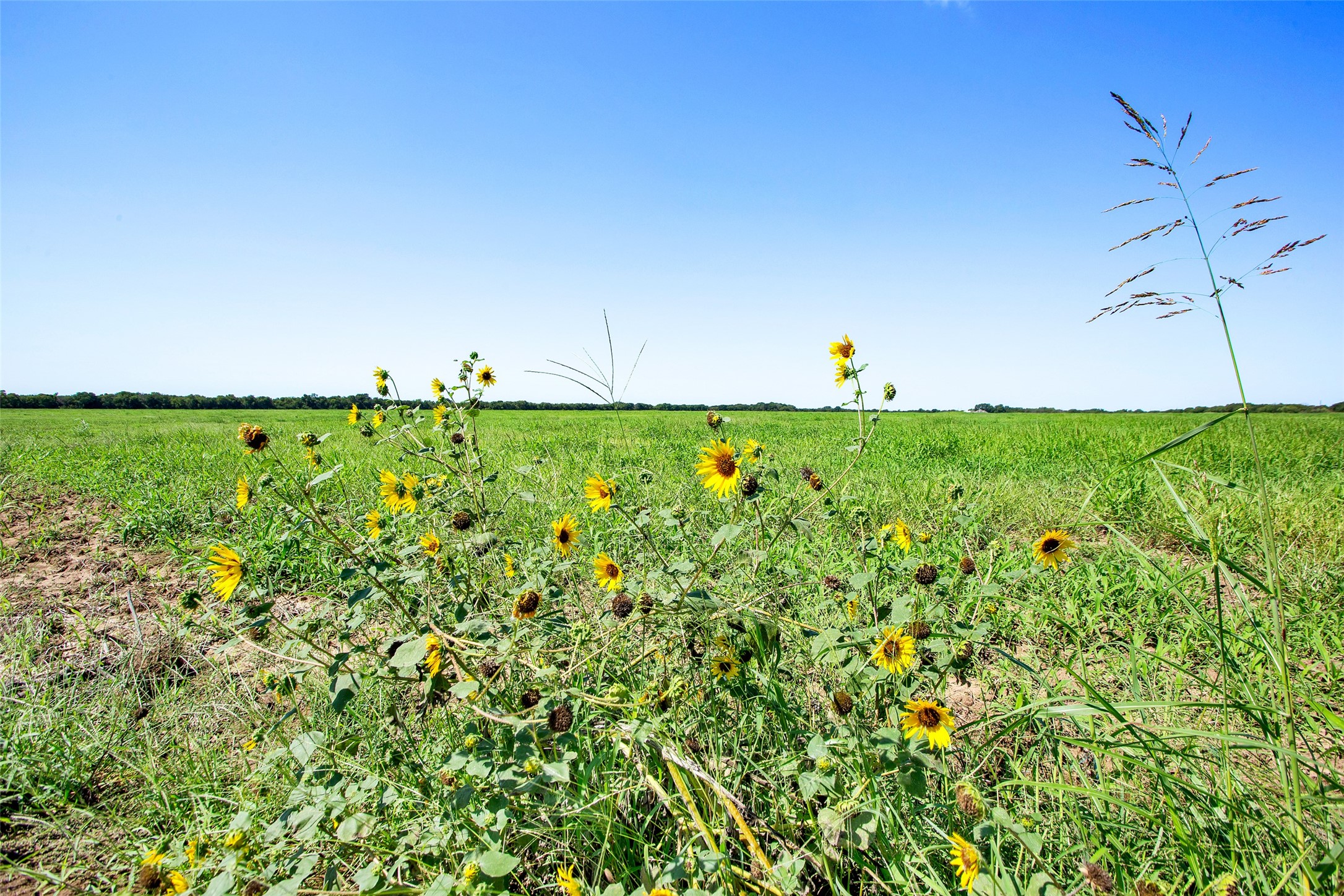 99AC Buck Creek Tioga TX 76271