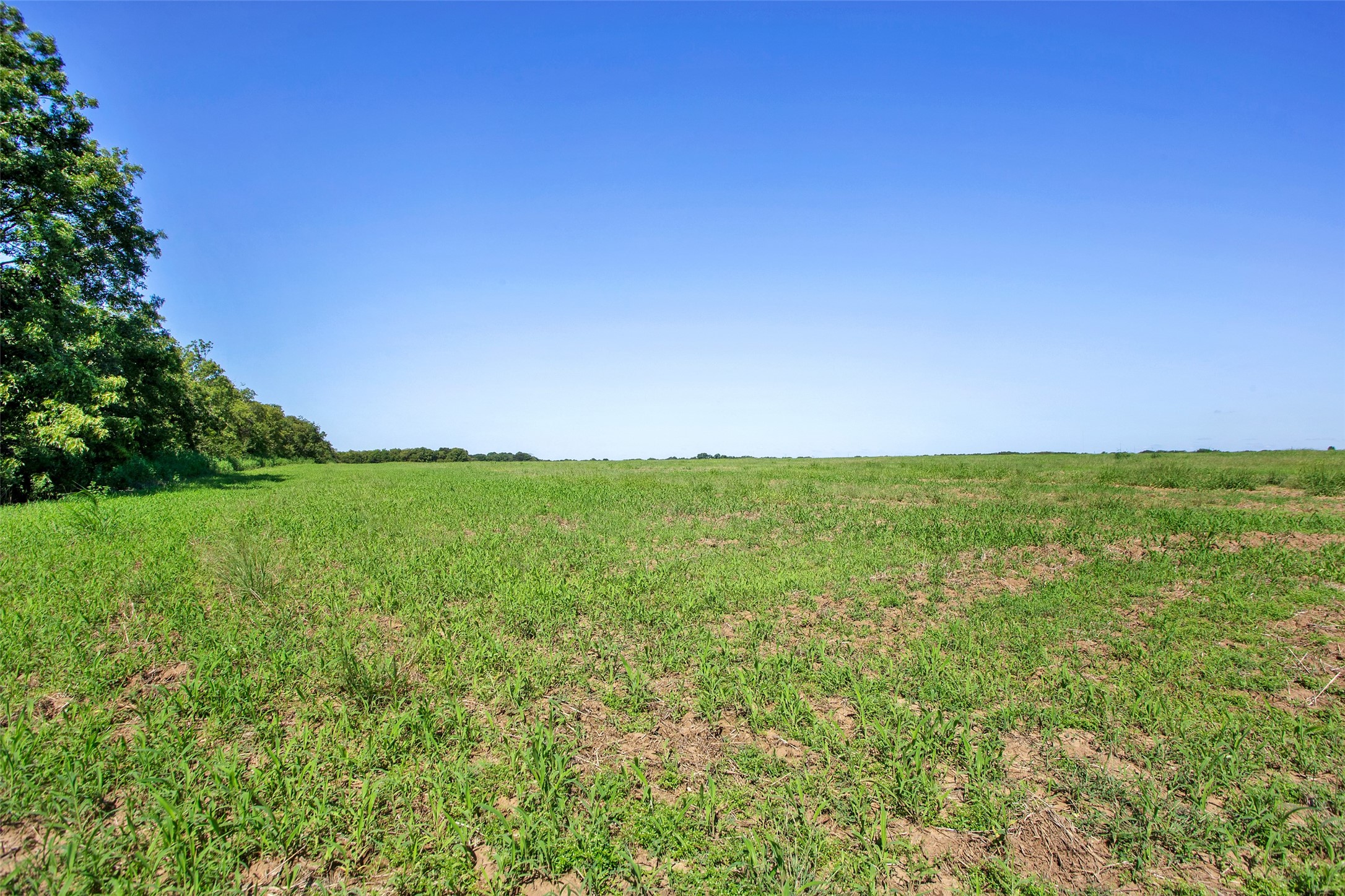 99AC Buck Creek Tioga TX 76271