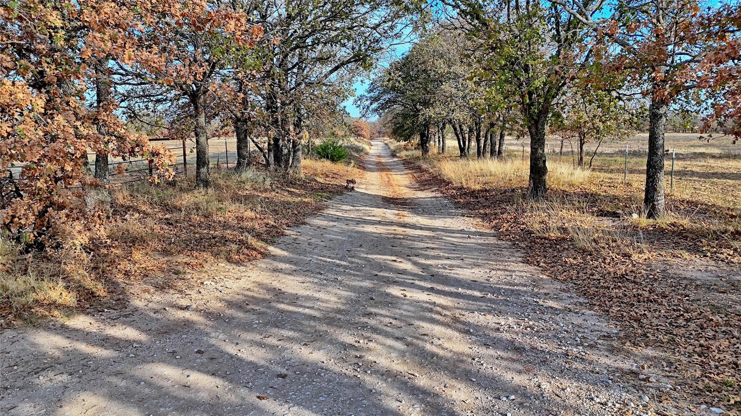 000 Carminati Montague TX 76251