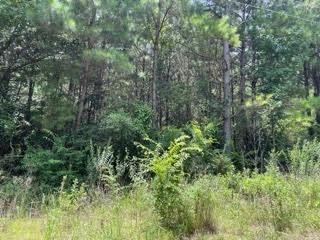 Lot 9 Fm 556 Pittsburg TX 75686