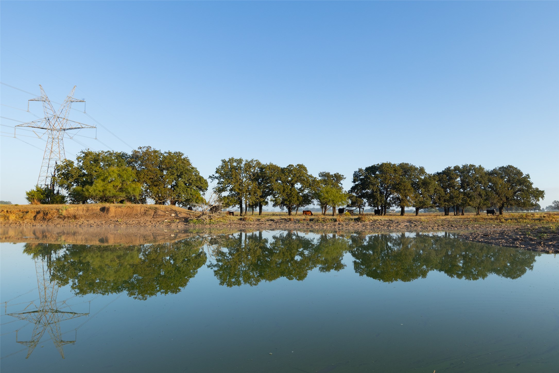 Tbd Brushy Road Granbury TX 76048