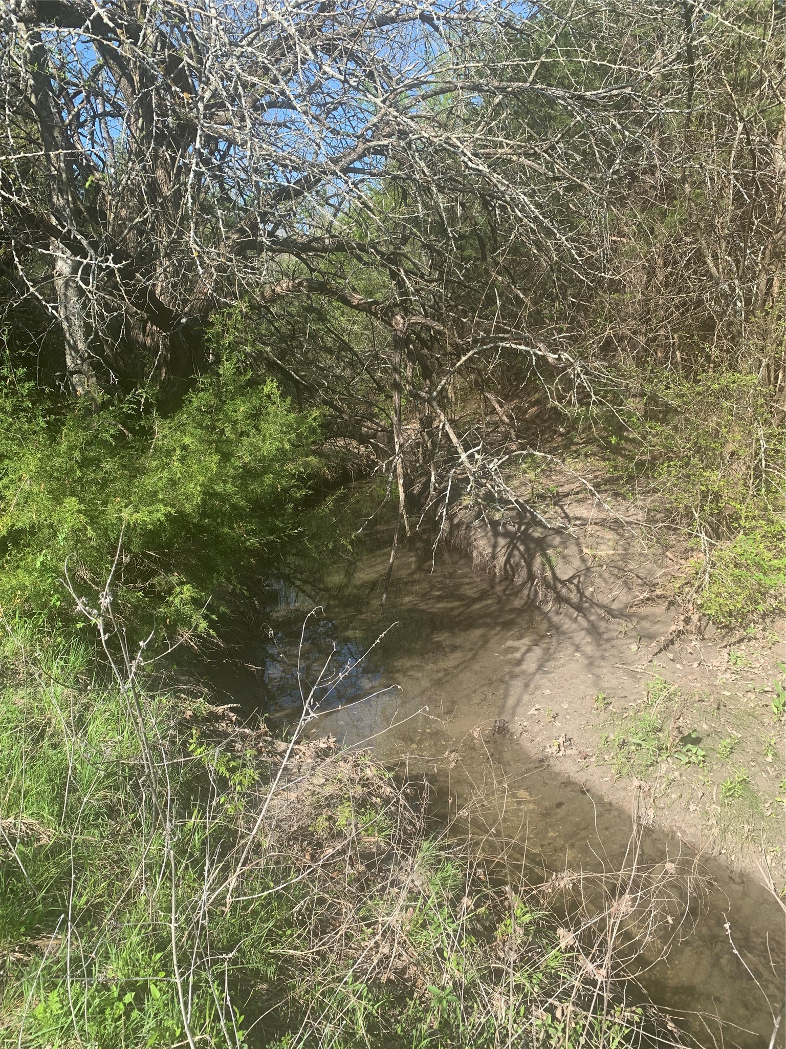 10843 E Line Road Trenton TX 75490