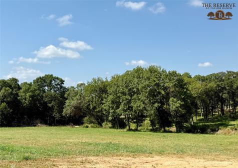 Lot 42 Colt Road Springtown TX 76082