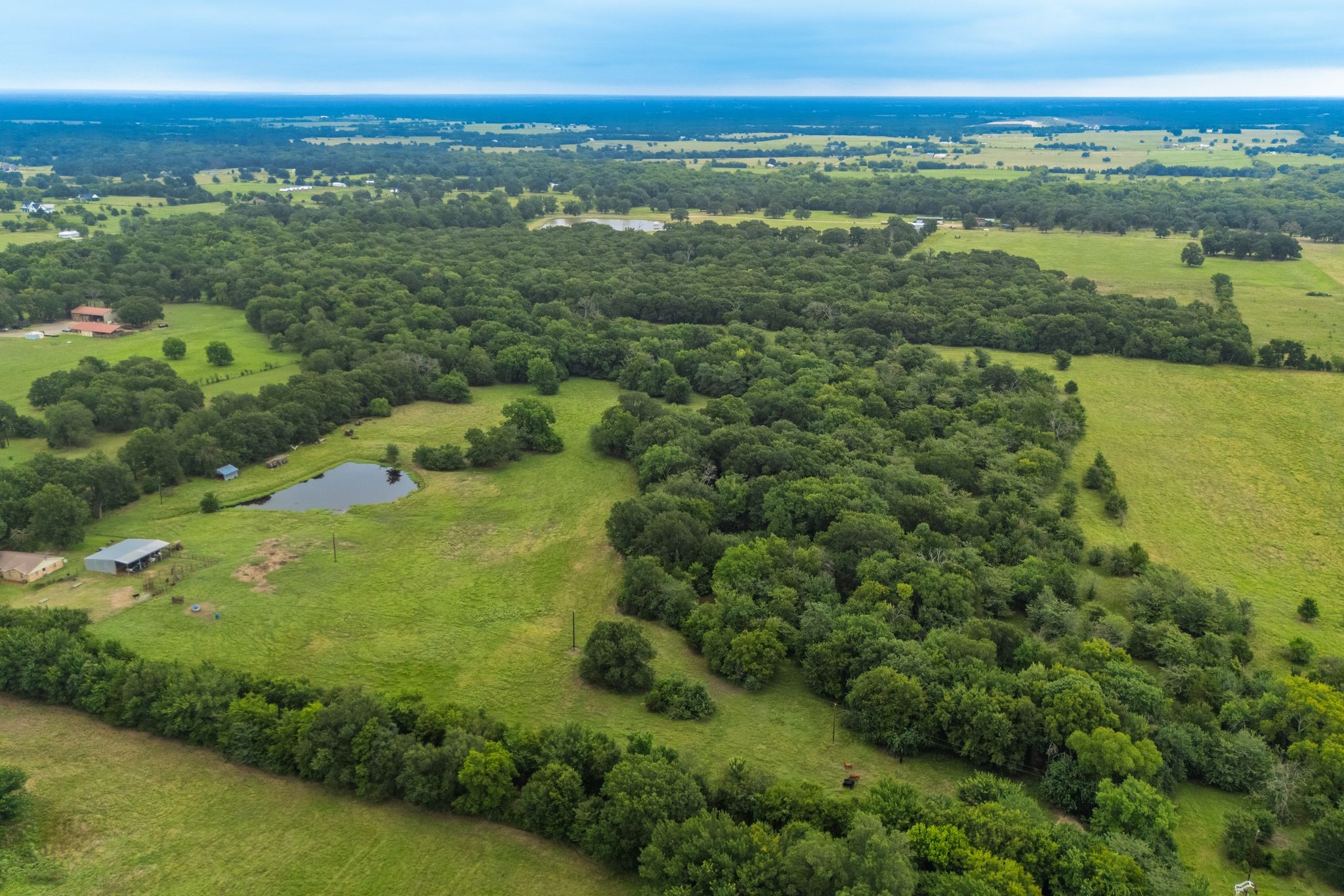 Tbd County Road 4209 Campbell TX 75422
