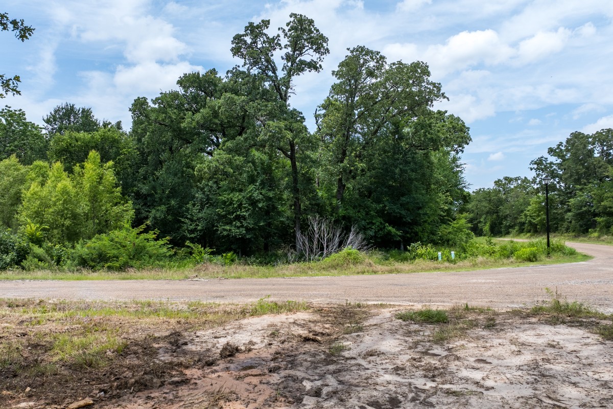 123 Oakmont Drive Mabank TX 75147