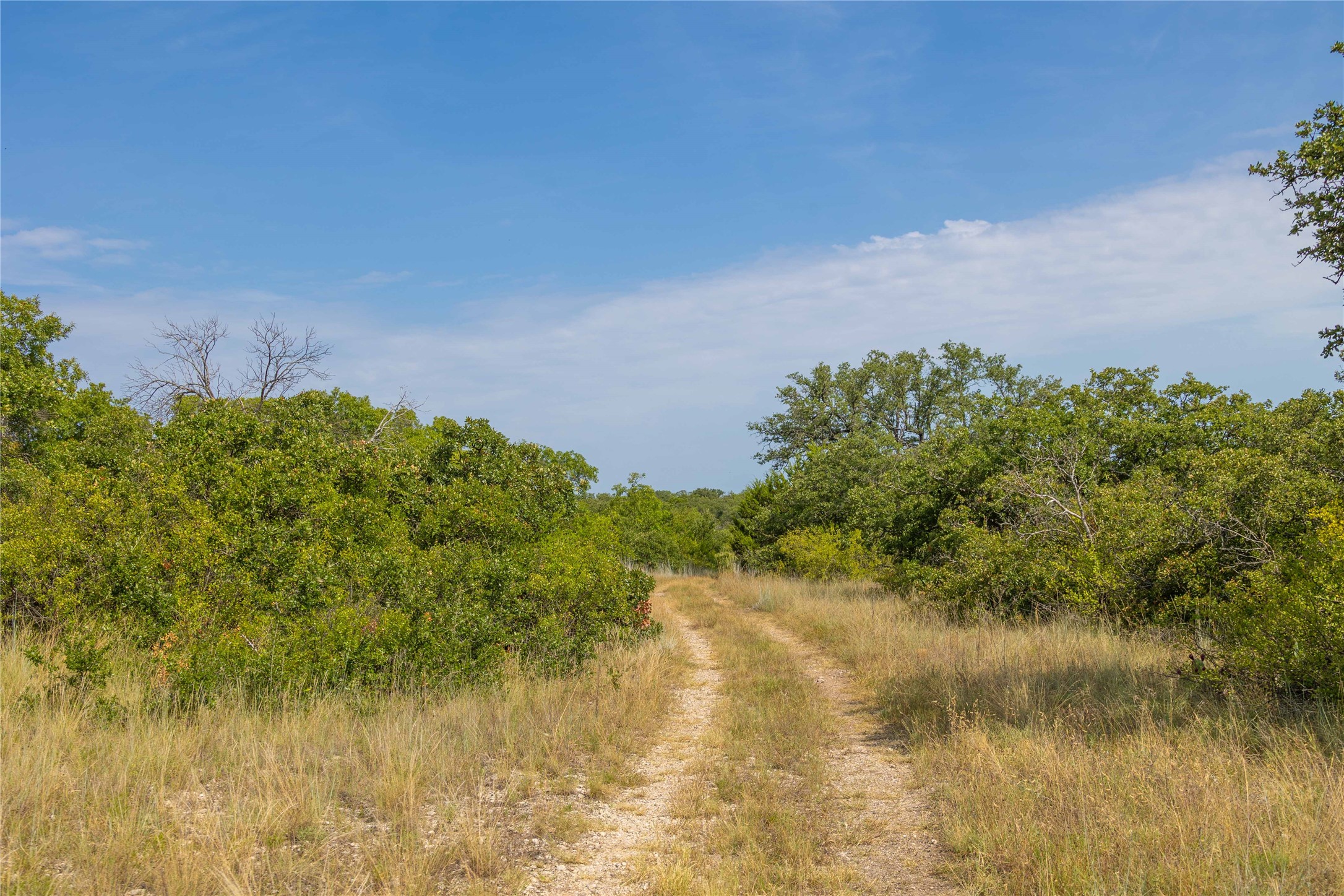 447 Cr 411 Coleman TX 76834
