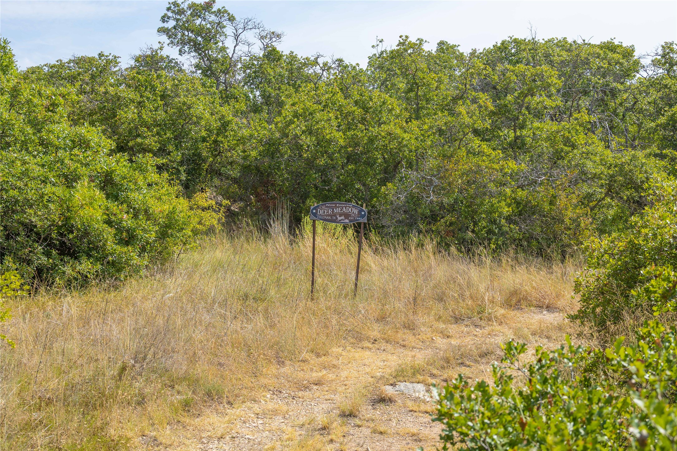 447 Cr 411 Coleman TX 76834