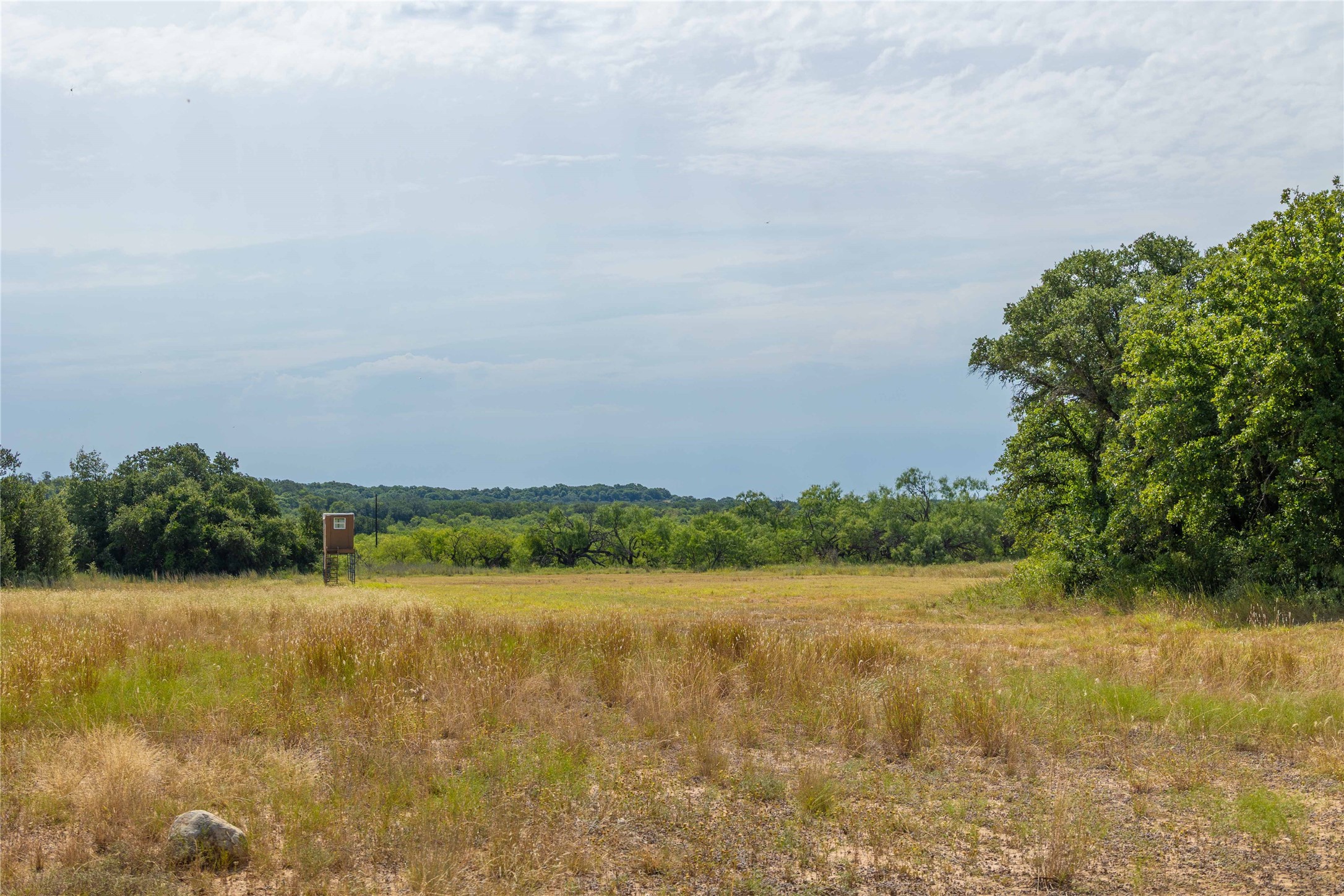 447 Cr 411 Coleman TX 76834