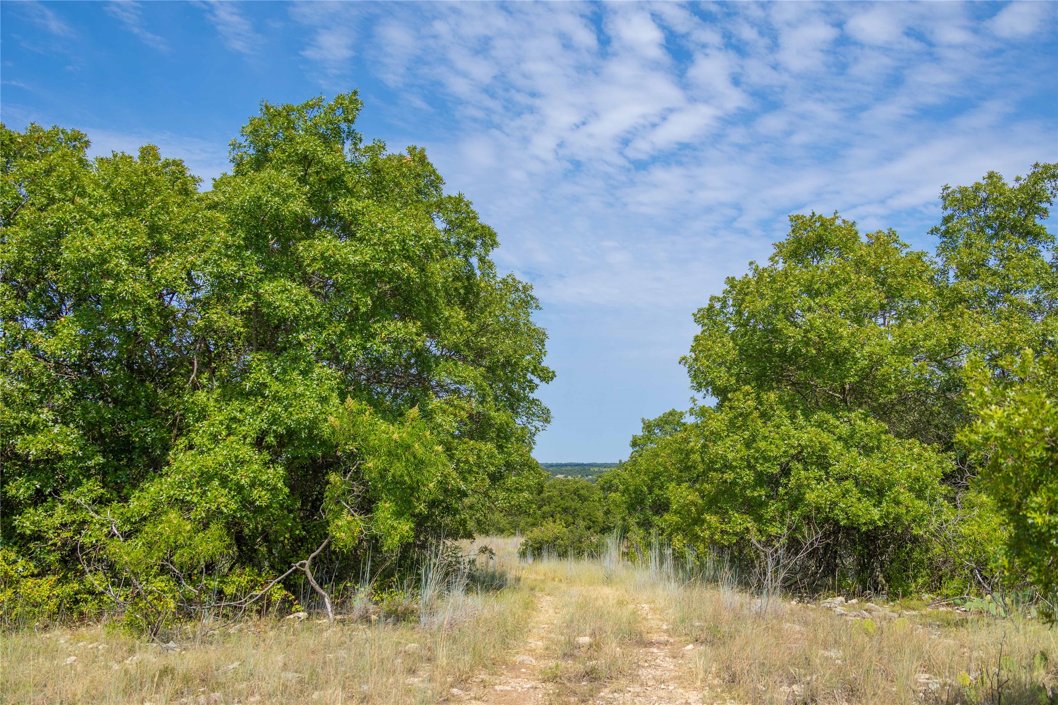 447 Cr 411 Coleman TX 76834