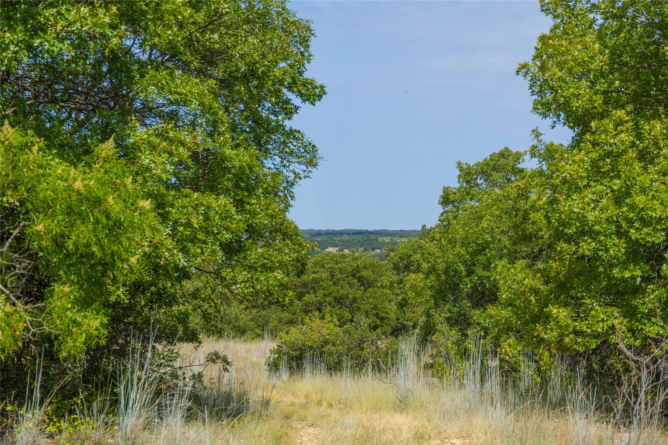 447 Cr 411 Coleman TX 76834