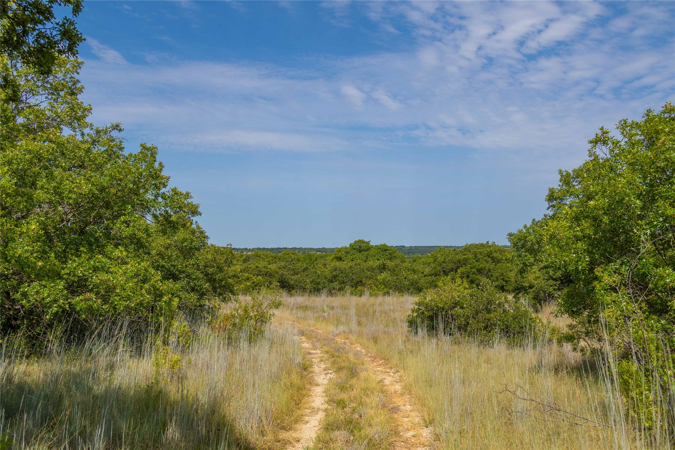 447 Cr 411 Coleman TX 76834