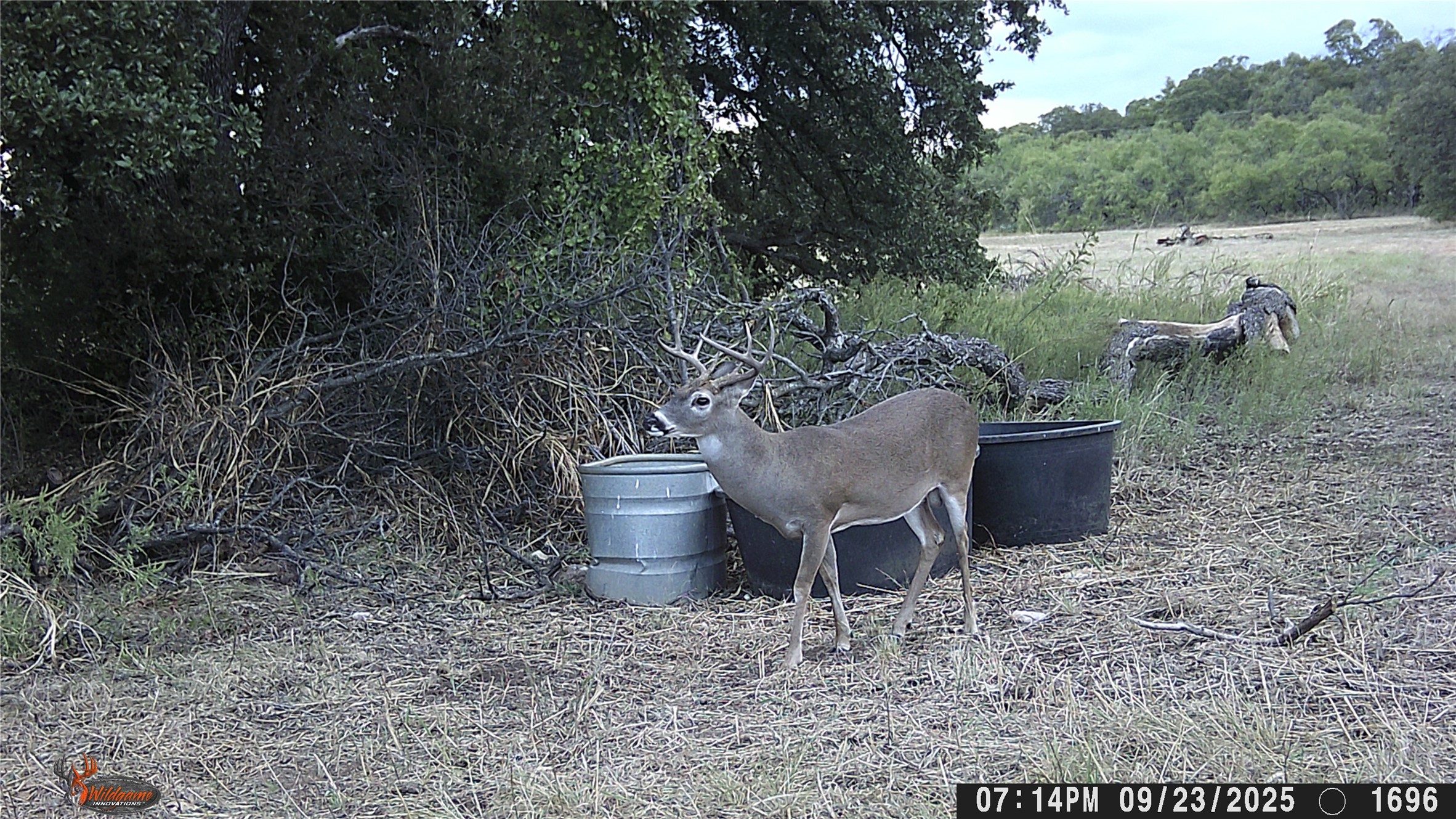 447 Cr 411 Coleman TX 76834