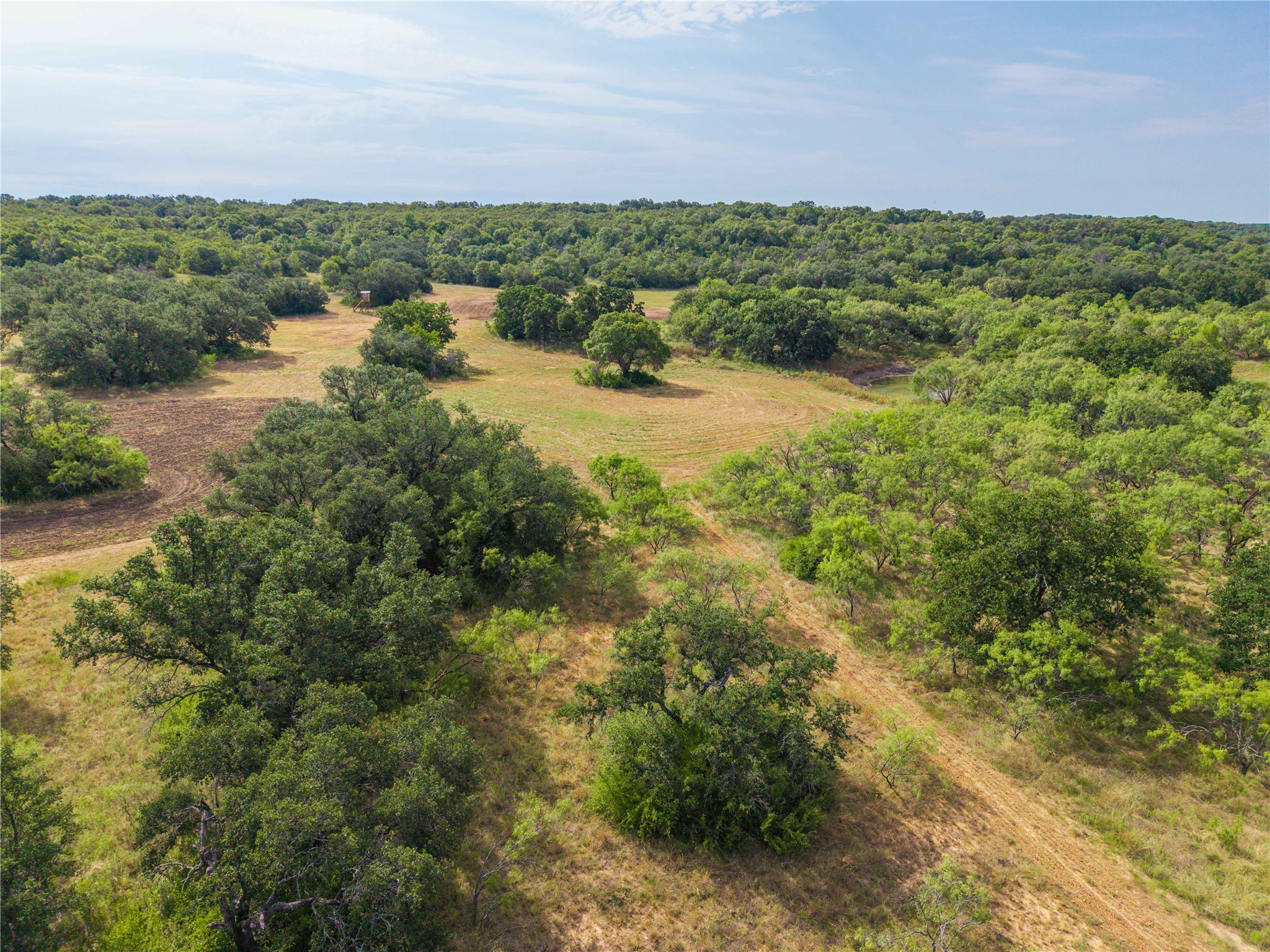 447 Cr 411 Coleman TX 76834