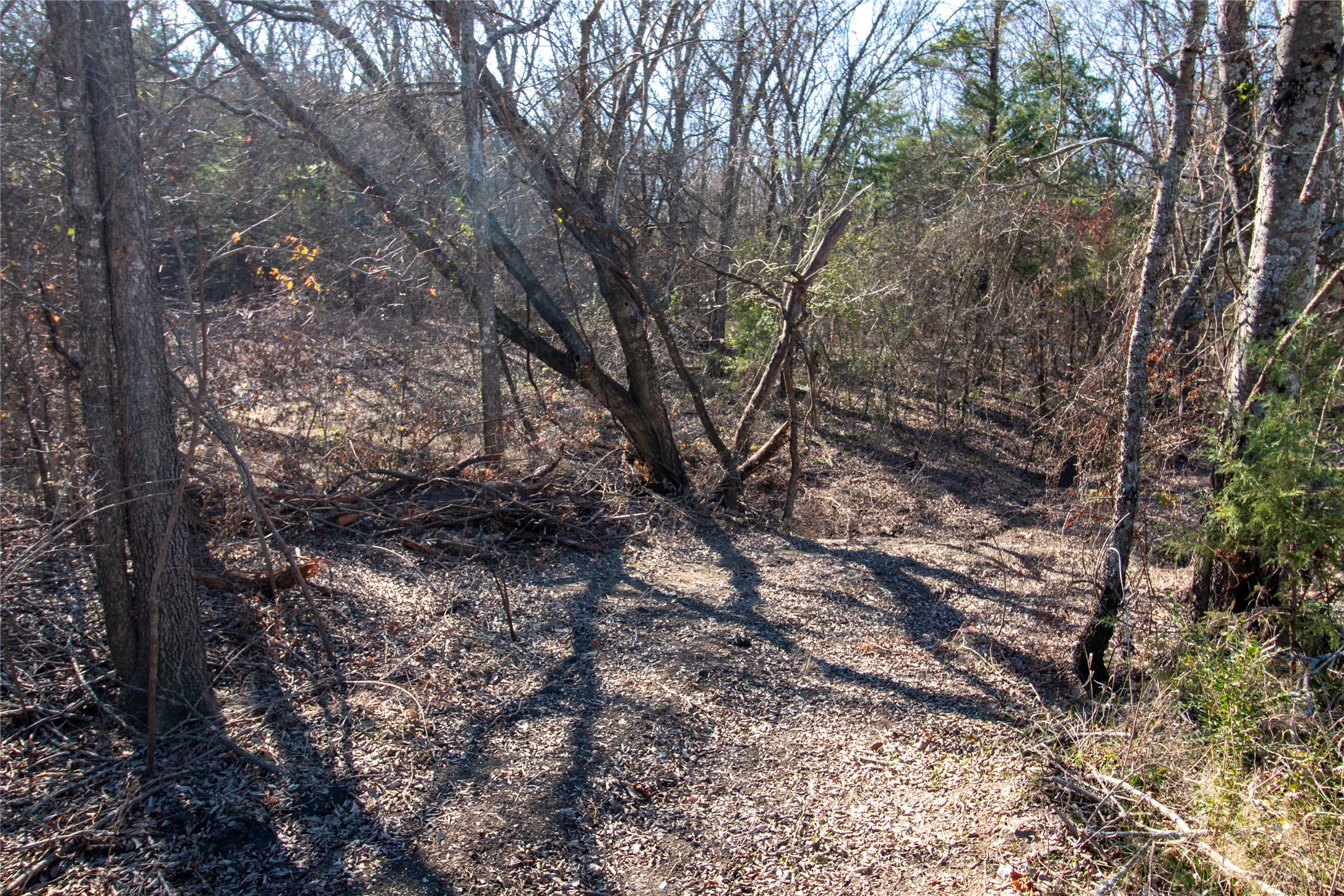 Lot 6 County Road 2905 Dodd City TX 75438