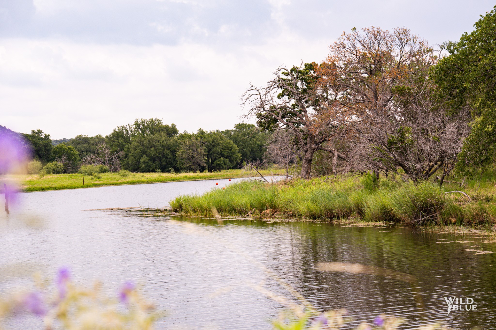 2170 River Shoals Road Mineral Wells TX 76067