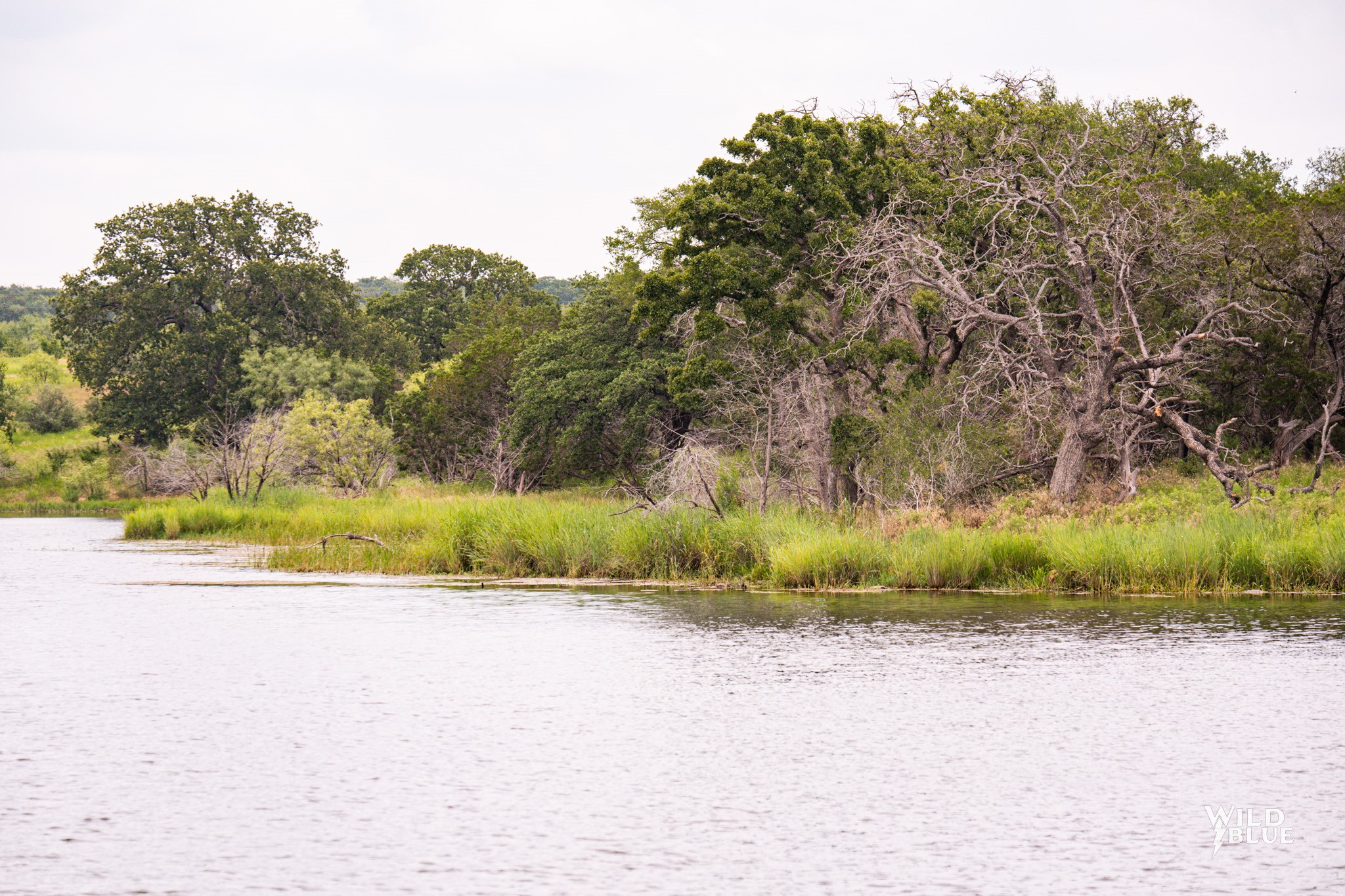 2170 River Shoals Road Mineral Wells TX 76067