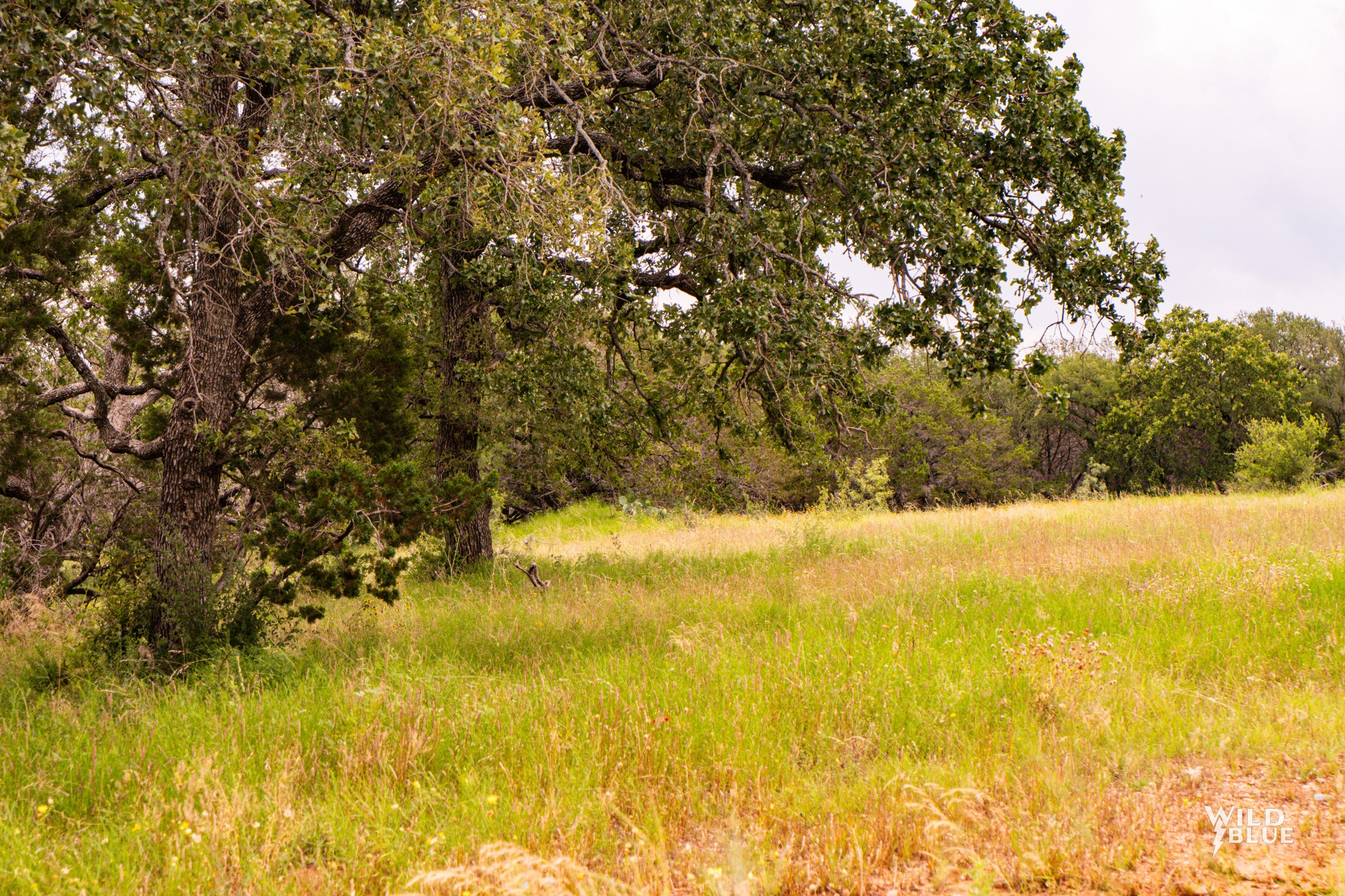 2170 River Shoals Road Mineral Wells TX 76067