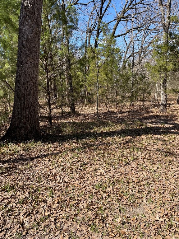 0 Double Bridge Road Mabank TX 75156