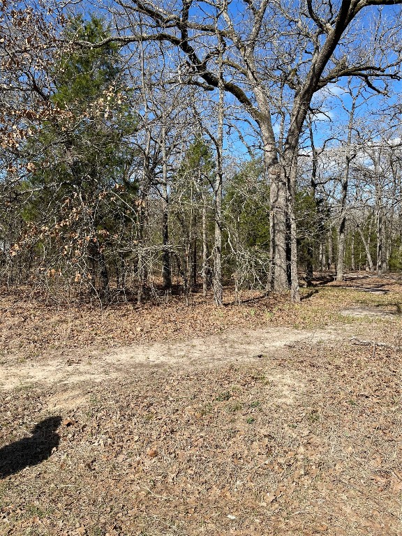 0 Double Bridge Road Mabank TX 75156