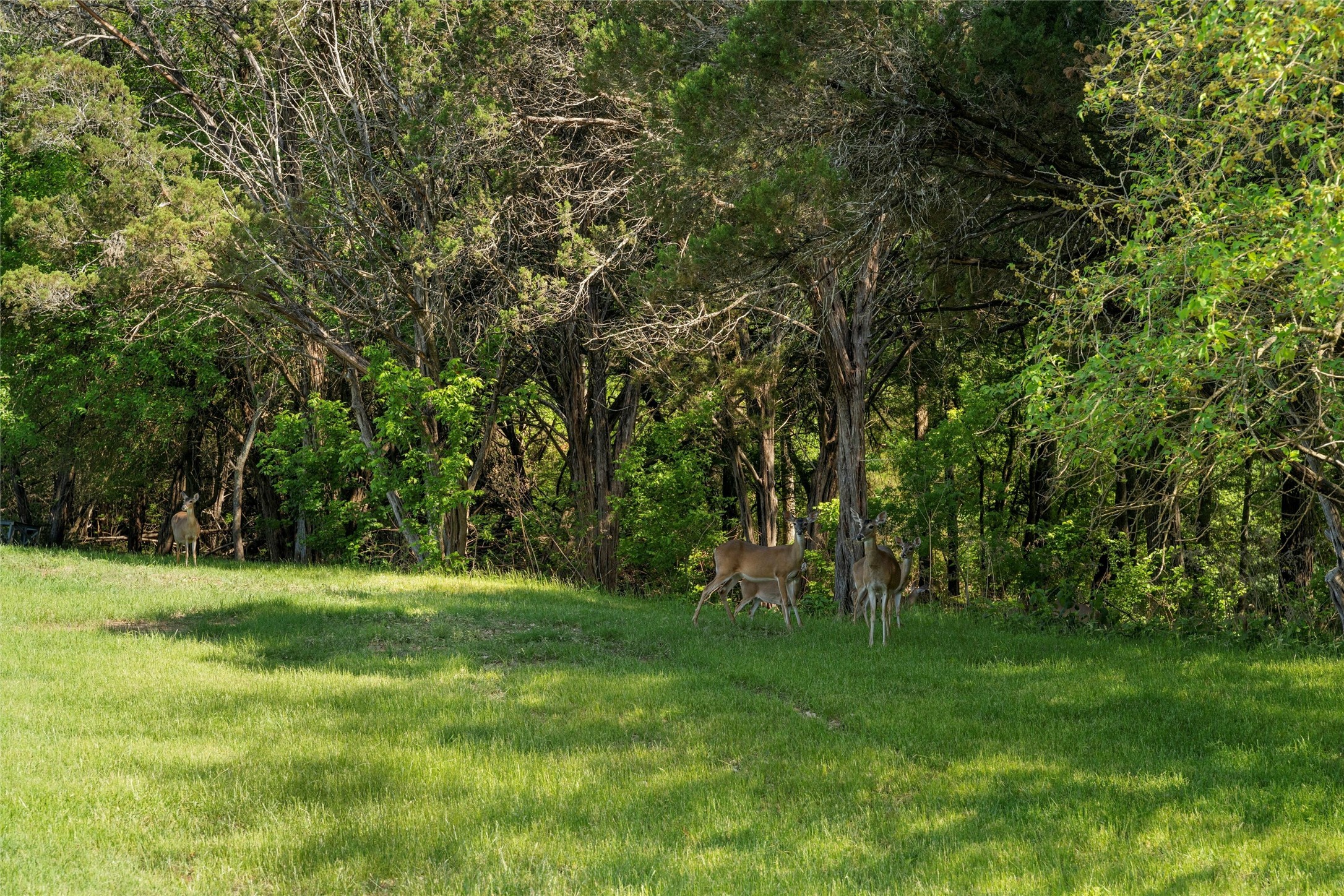 Lot 15 Riverside Drive Aquilla TX 76622