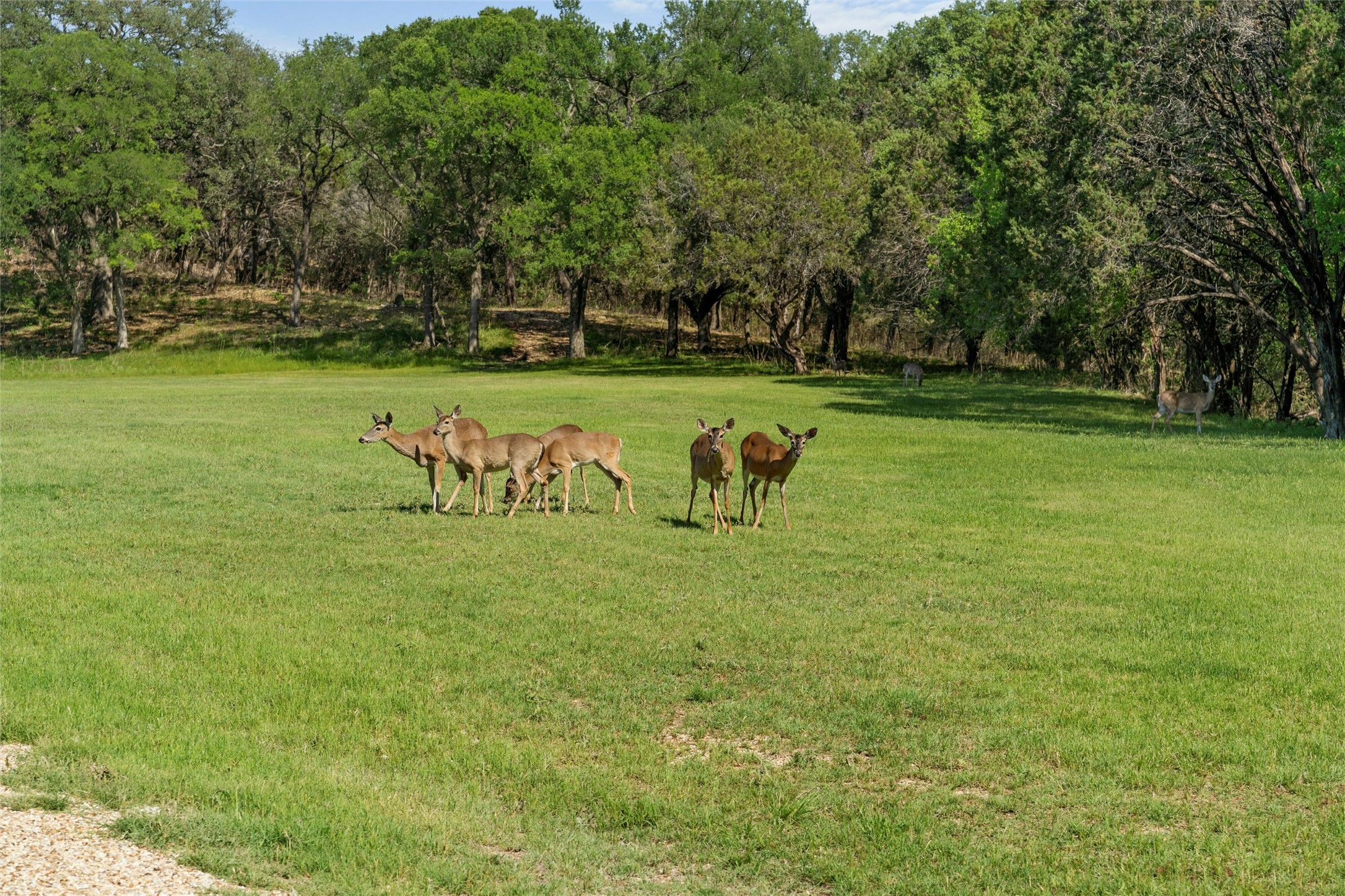 Lot 15 Riverside Drive Aquilla TX 76622
