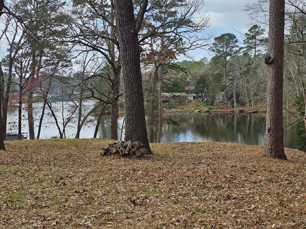 1608 An County Road 385 Palestine TX 75801