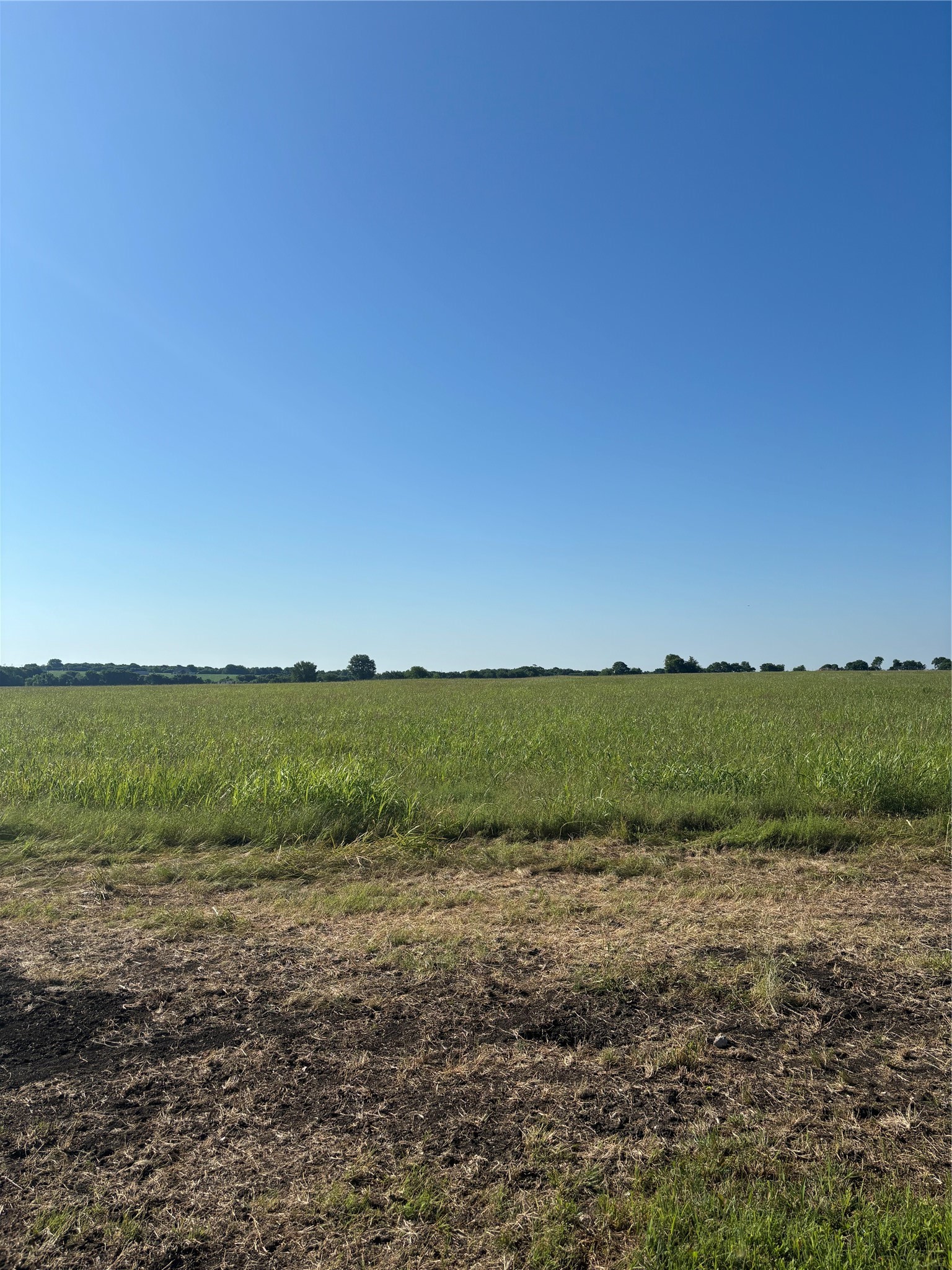 Tbd Boz Road Waxahachie TX 75167