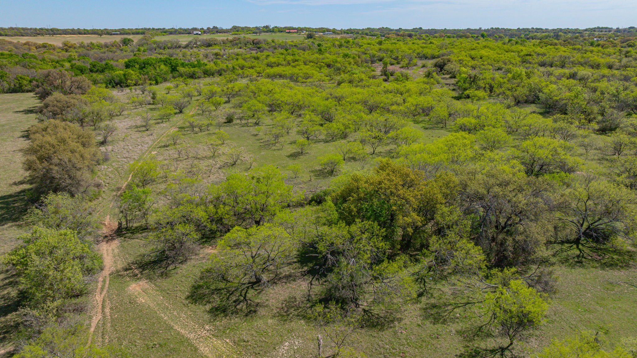 2474 Cr 371 Dublin TX 76446