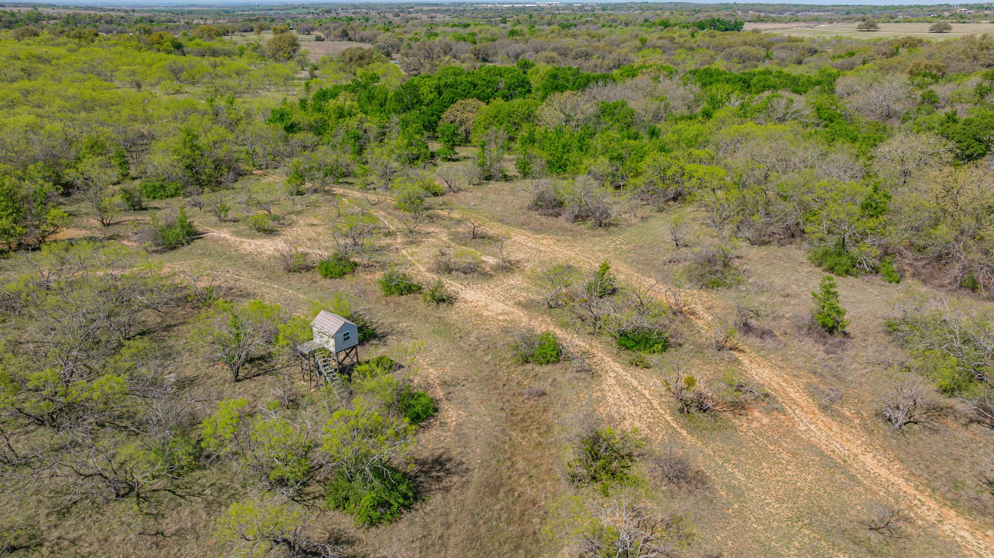 2474 Cr 371 Dublin TX 76446