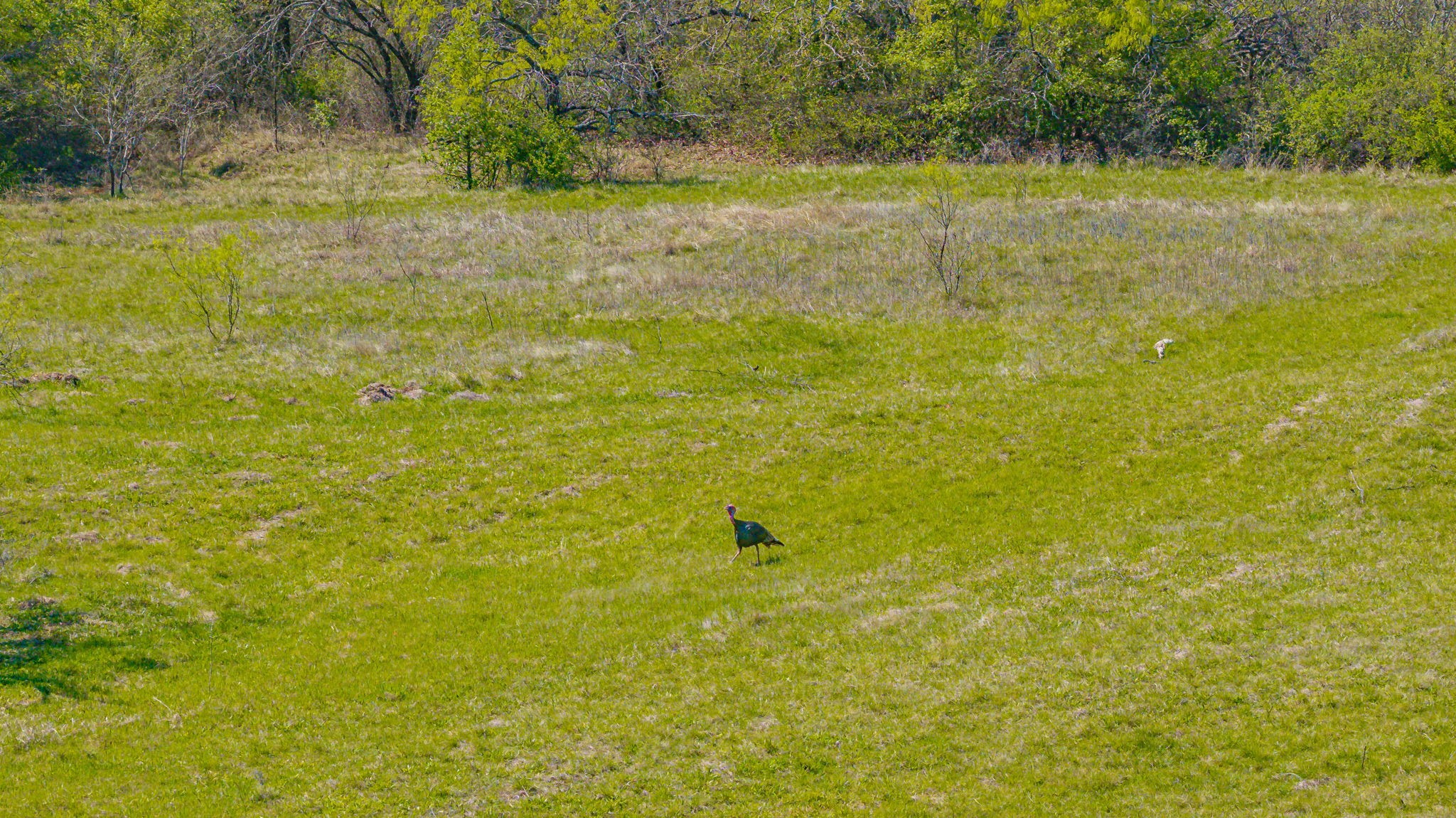 2474 Cr 371 Dublin TX 76446