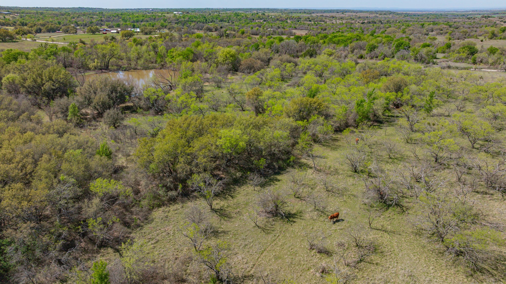 2474 Cr 371 Dublin TX 76446