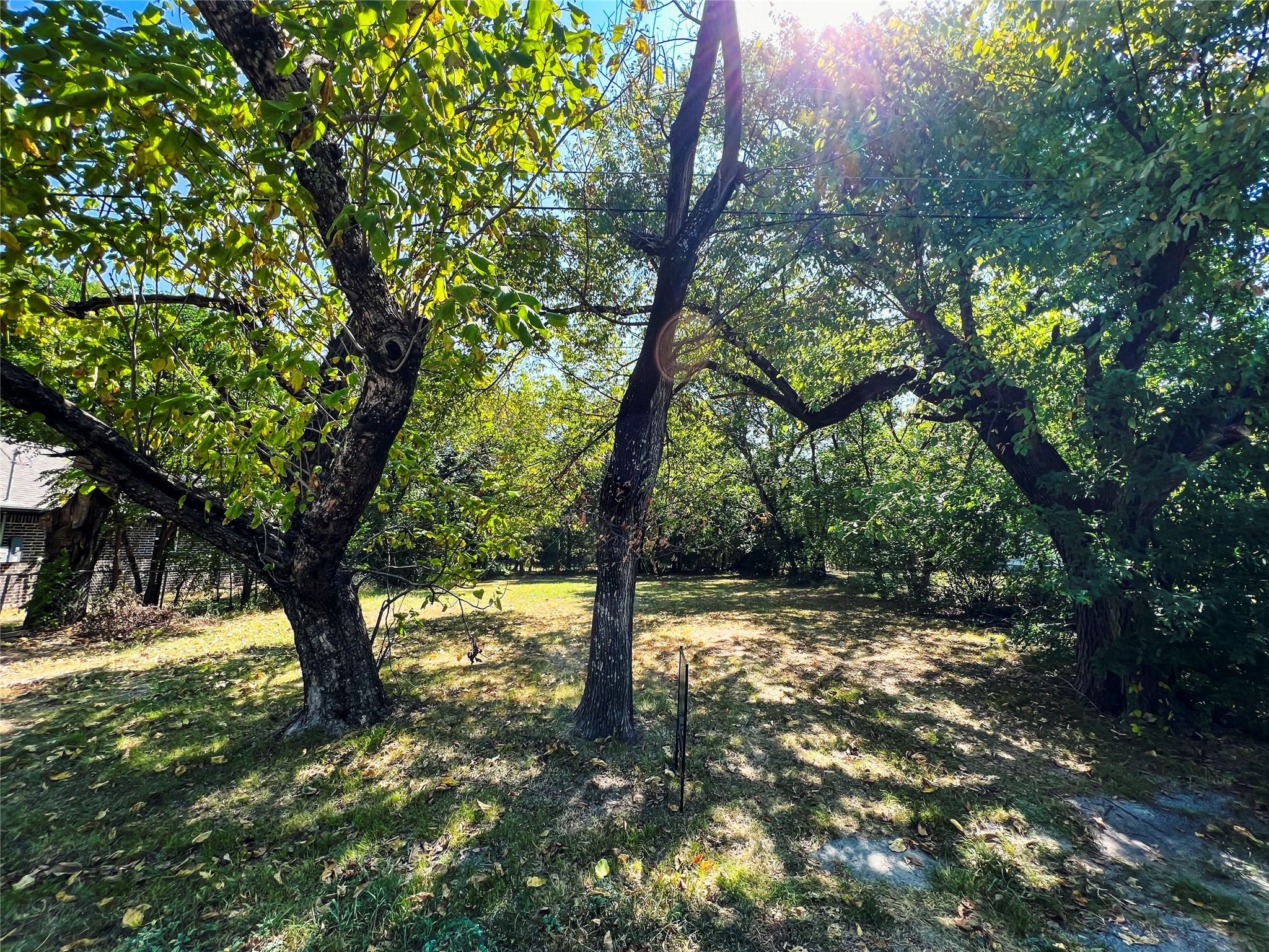 1616 Cedar Street Bonham TX 75418