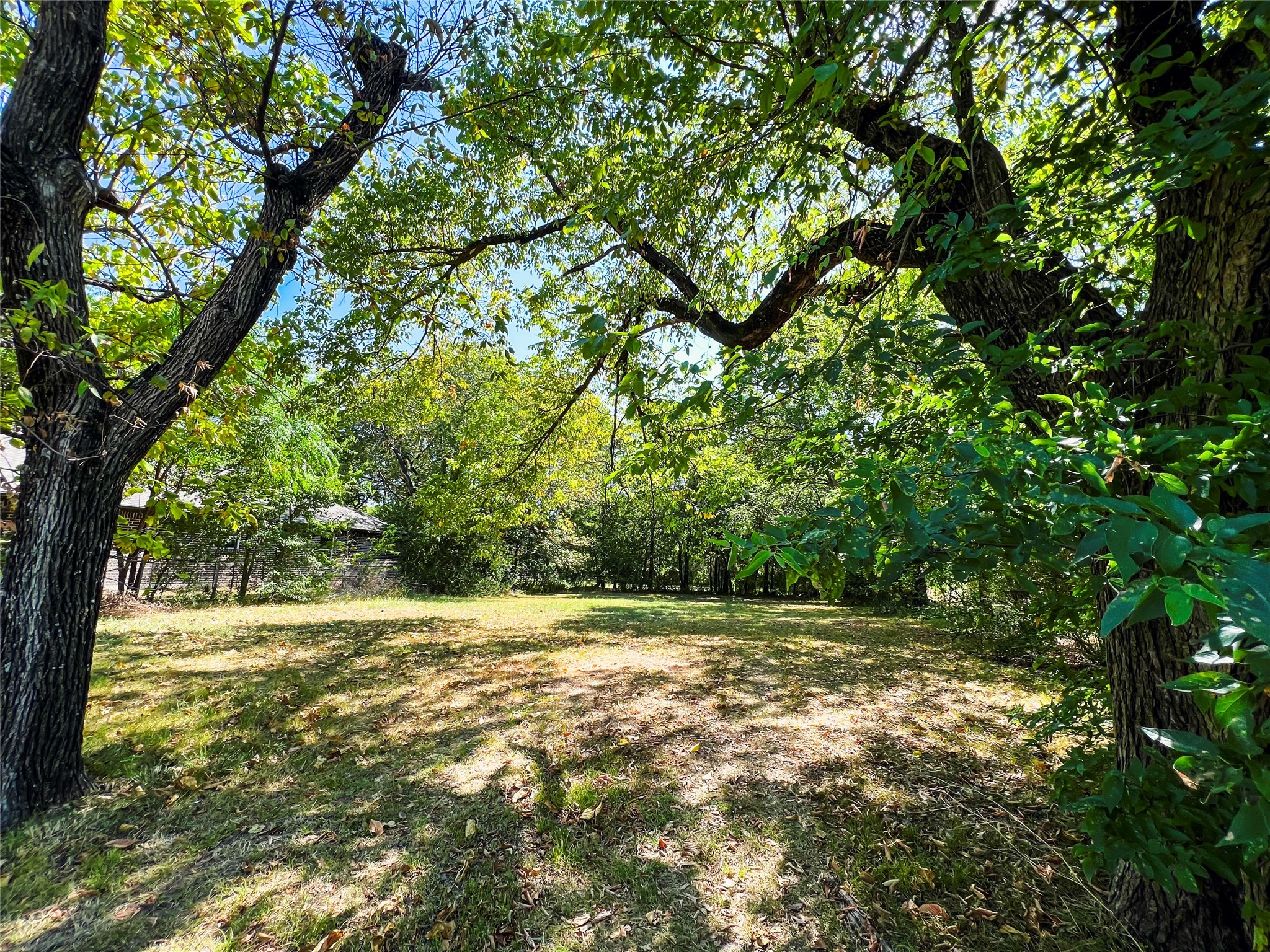 1616 Cedar Street Bonham TX 75418