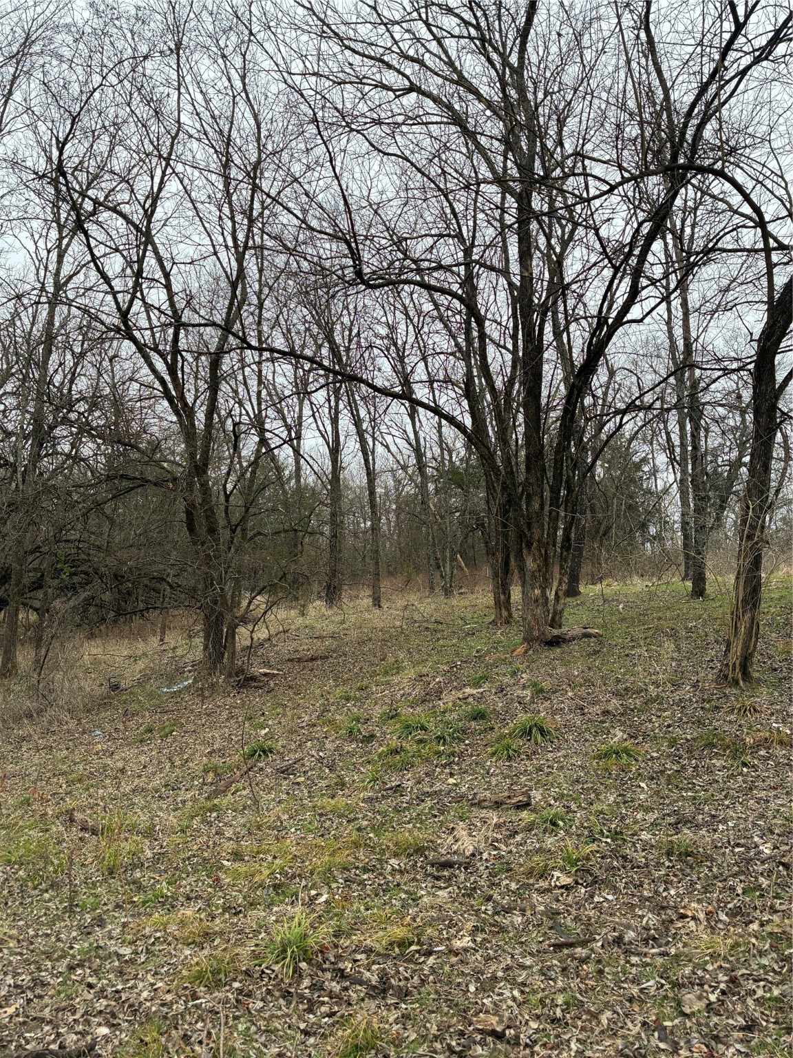 23 County Road 2950 Windom TX 75306