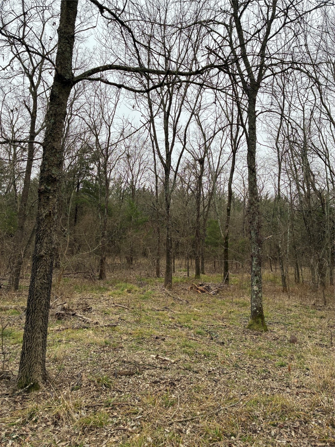 23 County Road 2950 Windom TX 75306