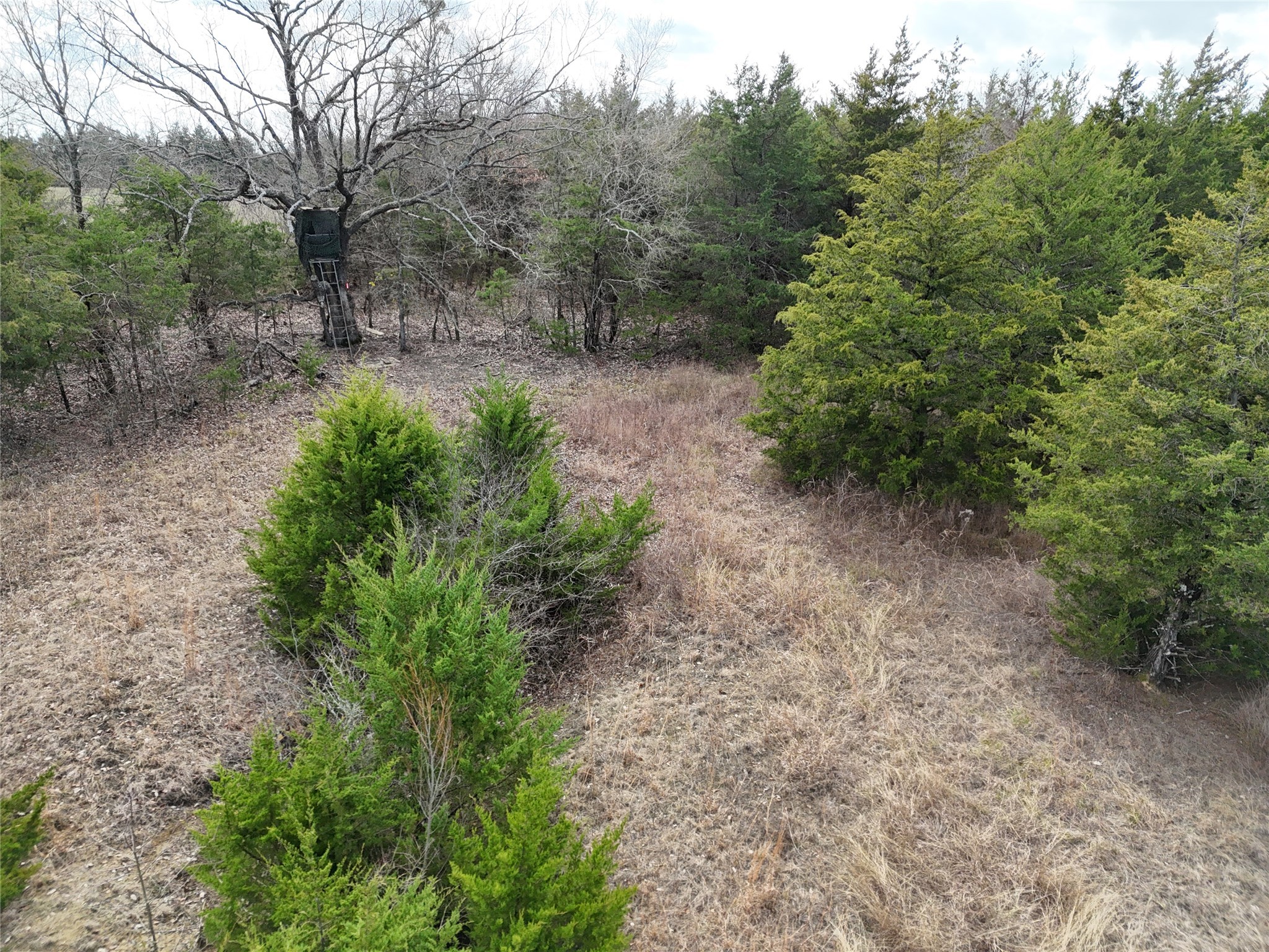 23 County Road 2950 Windom TX 75306