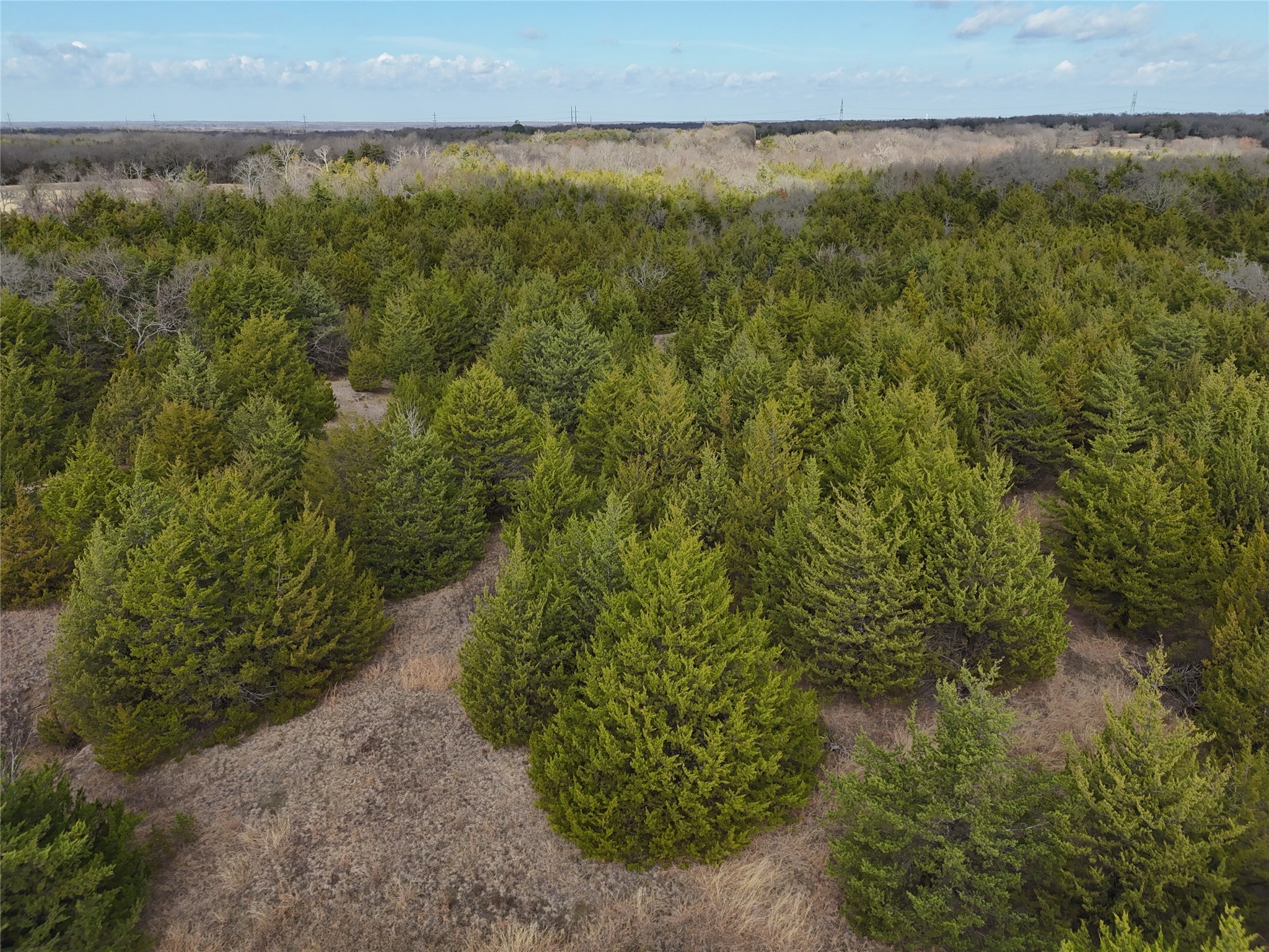 23 County Road 2950 Windom TX 75306