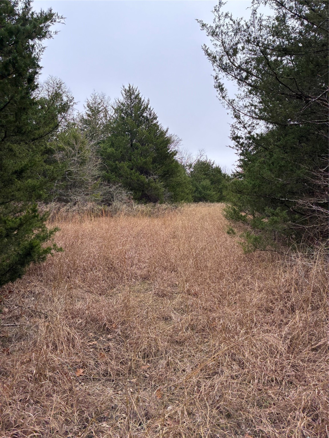 23 County Road 2950 Windom TX 75306