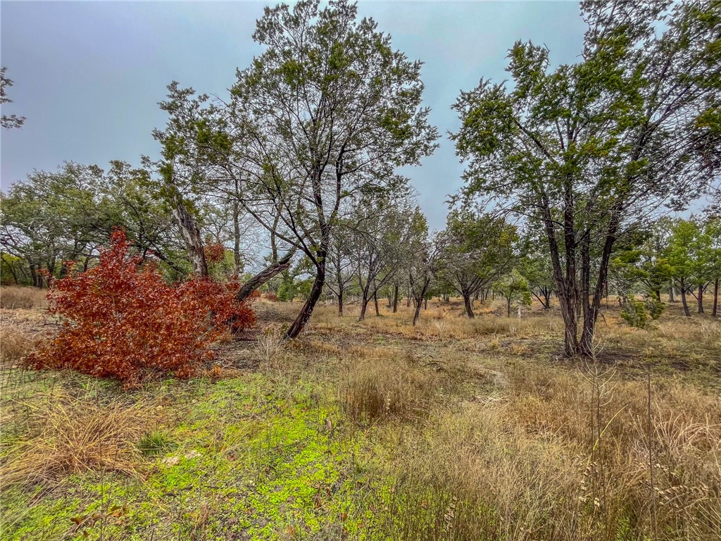 Unk Cr 421 Road Evant TX 76525