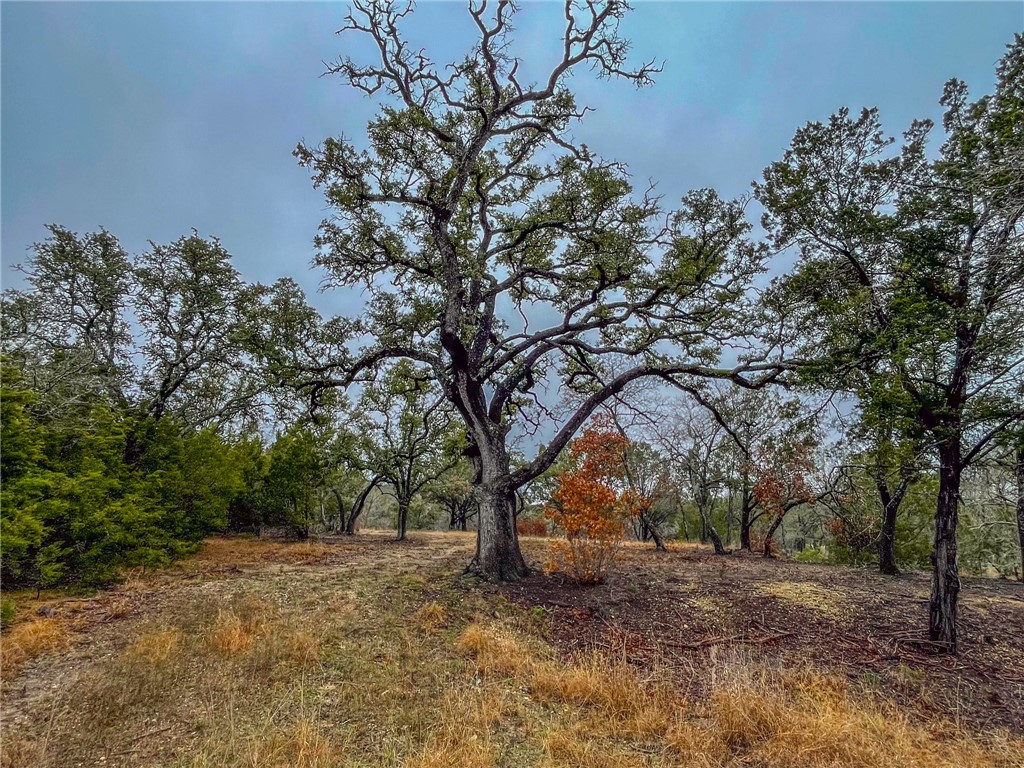 Unk Cr 421 Road Evant TX 76525