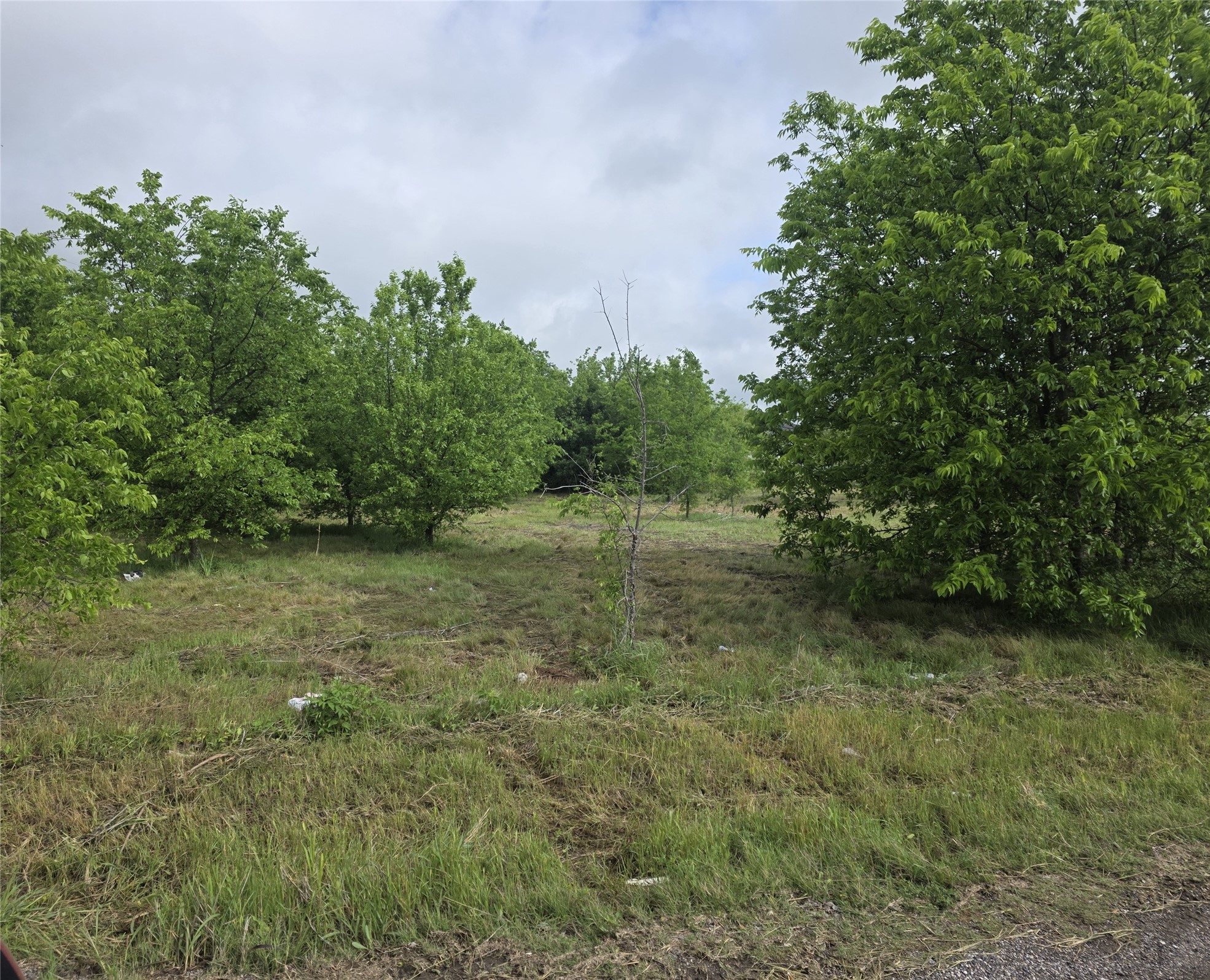 Tbd Street Highway 22 & Hcr 2129 Whitney TX 76692