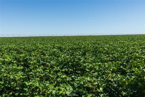 Tbd Cr 1691 O'brien TX 79521